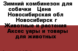 Зимний комбинезон для собачки › Цена ­ 350 - Новосибирская обл., Новосибирск г. Животные и растения » Аксесcуары и товары для животных   